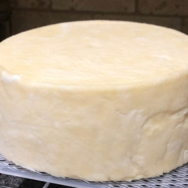 How to Make Monterey Jack Cheese