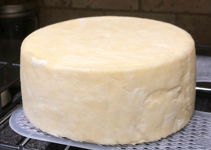 Learn how to make Monterey Jack cheese at home with these easy step-by-step instructions complete with pictures and supply list.