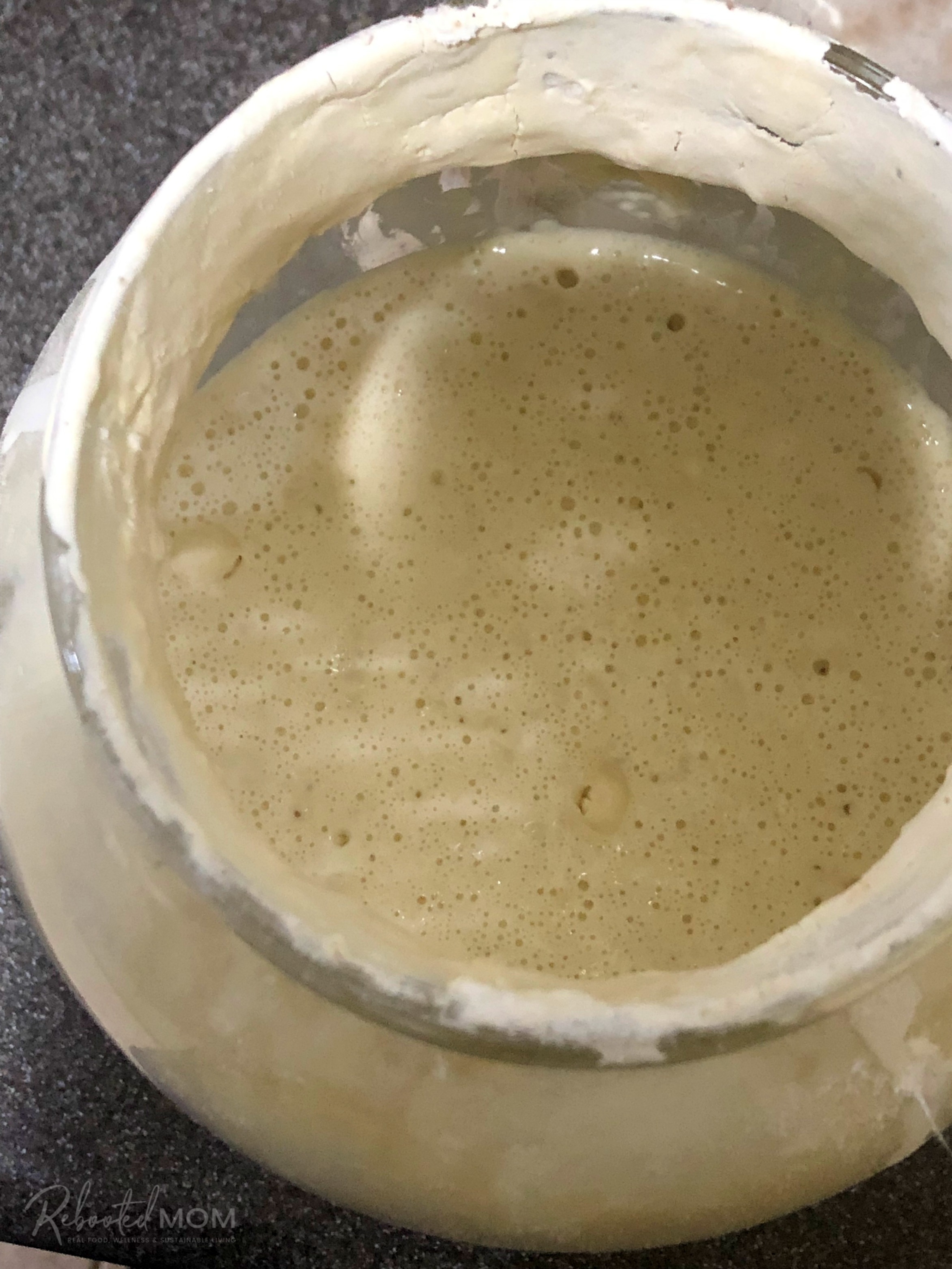 Bubbly sourdough starter \\ Easy homemade sourdough bagels you can make at home with your own active sourdough starter. This step by step tutorial makes the most delicious bagels!