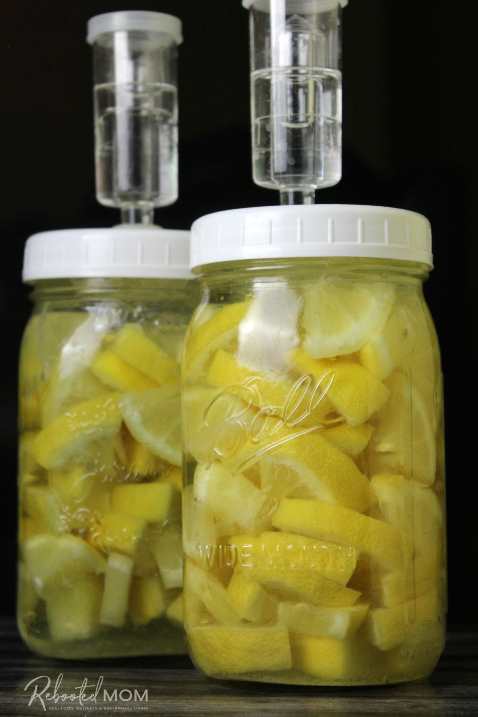 An amazing condiment, preserved lemons (fermented lemons) have added probiotics and are a wonderful addition to vegetable, pasta, meat and salad dishes.