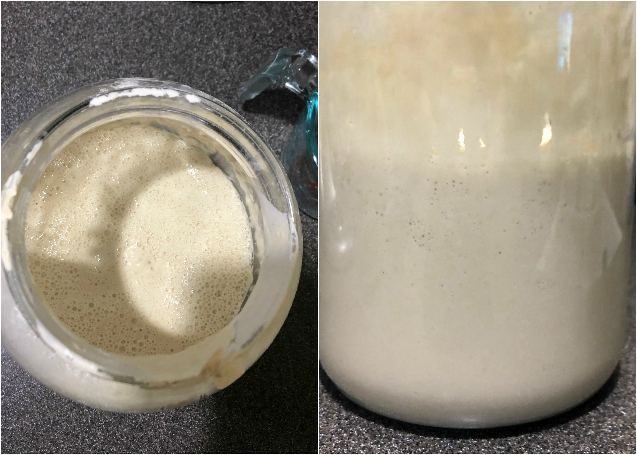 Sourdough Starter \\ Delicious sourdough crackers made simply and easily with sourdough discard or unfed starter and seasoned with your favorite herbs!