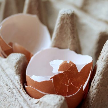 4 Way to Use Eggshells in your Garden