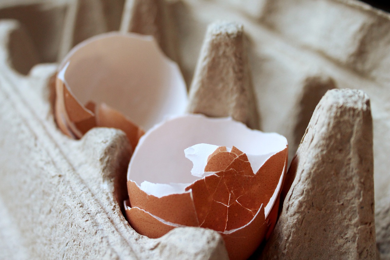 Don't throw those leftover eggshells away! Here are four easy and useful ways to use eggshells in your vegetable and flower garden.
