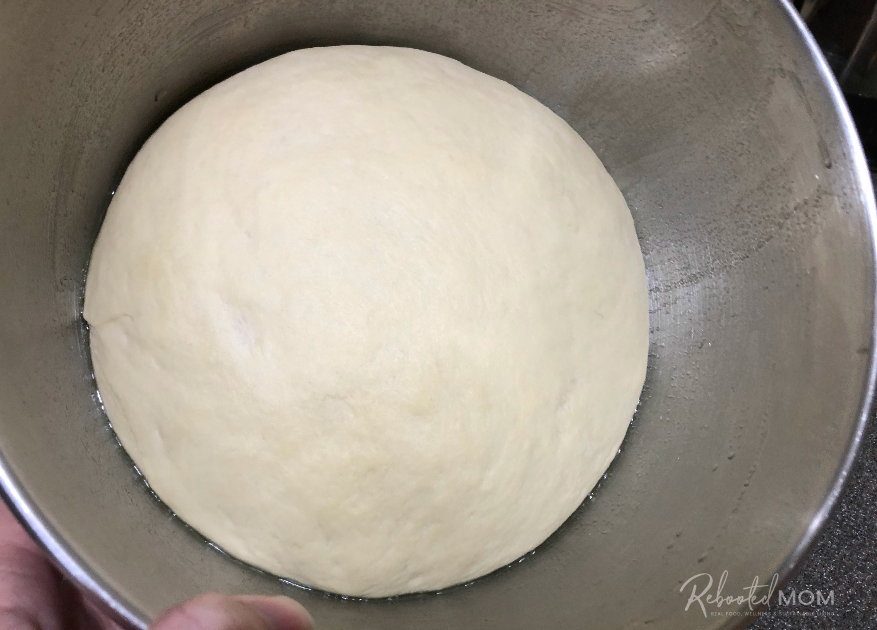 Sourdough pretzel dough before rise