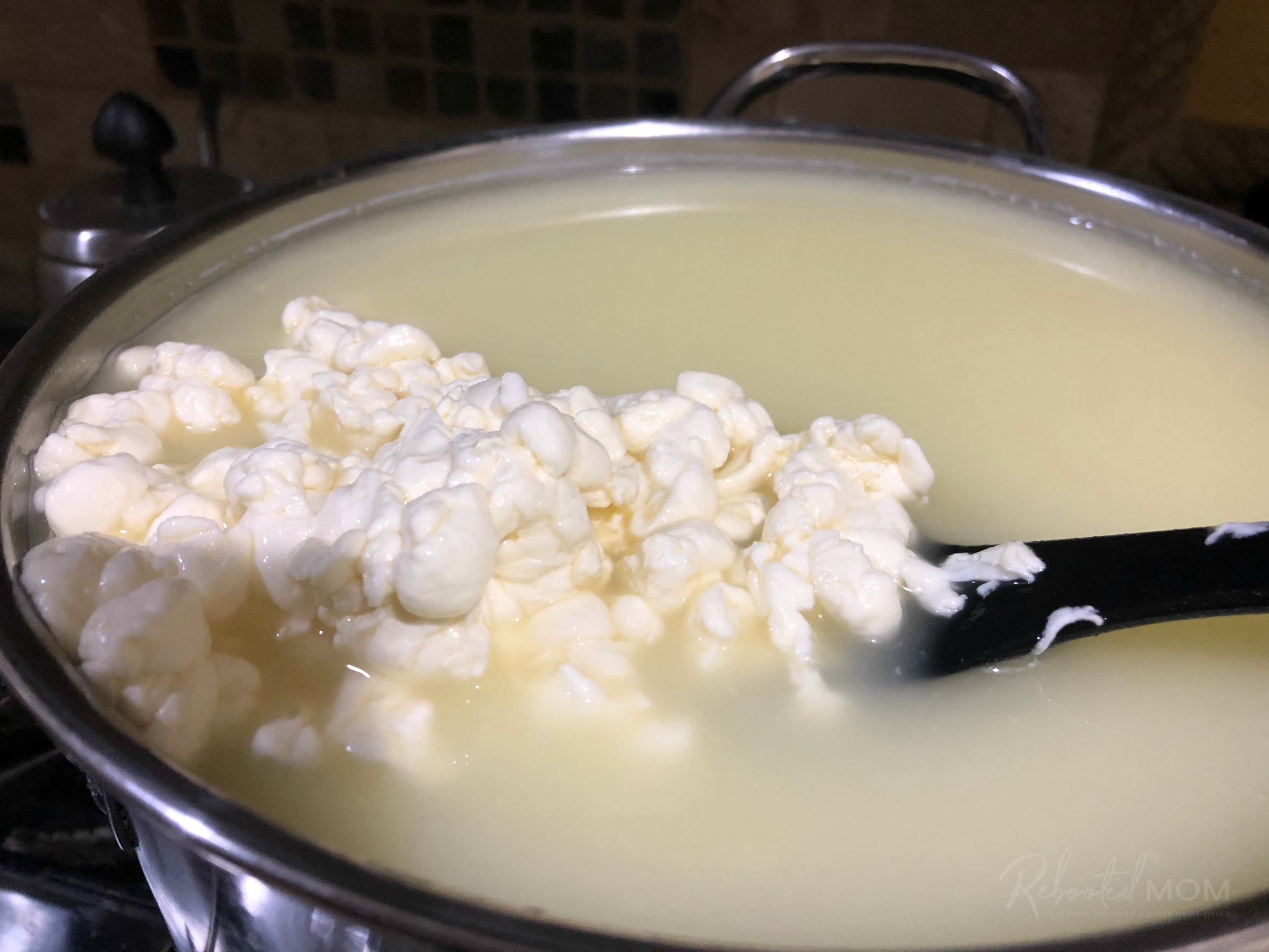 Cheese  Curds: Cook the curd.