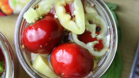 Pickled Cherry Bomb Peppers