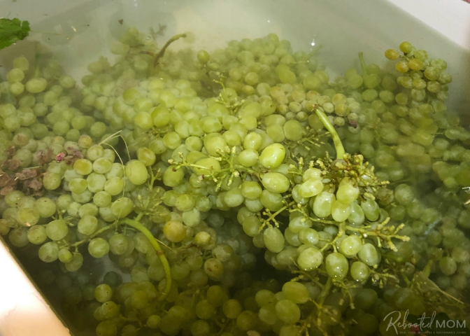 Cleaning green grapes