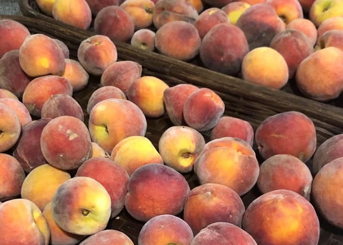Fresh picked peaches