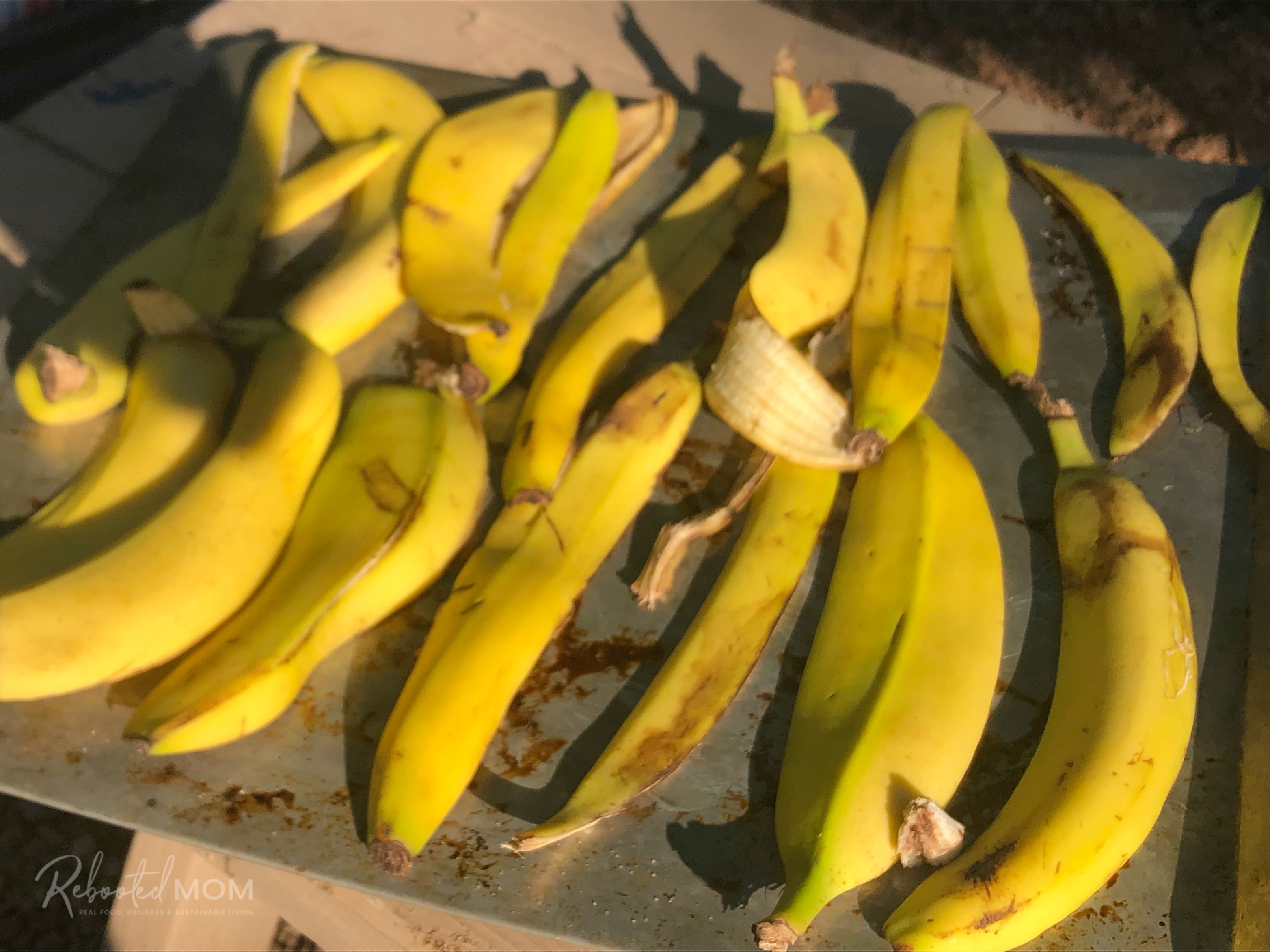 Banana peels drying in the sun
