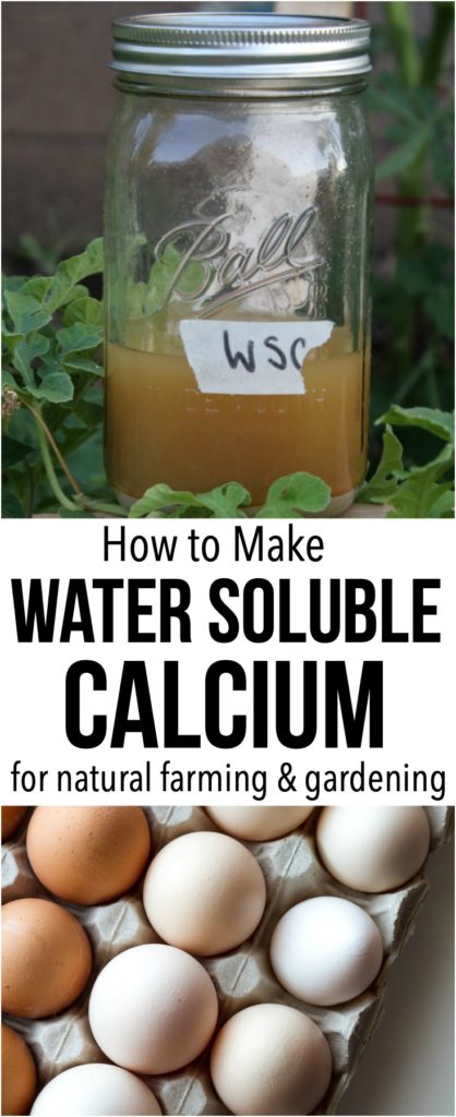 Water Soluble Calcium
