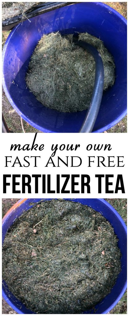 Fast and Fertilizer Tea