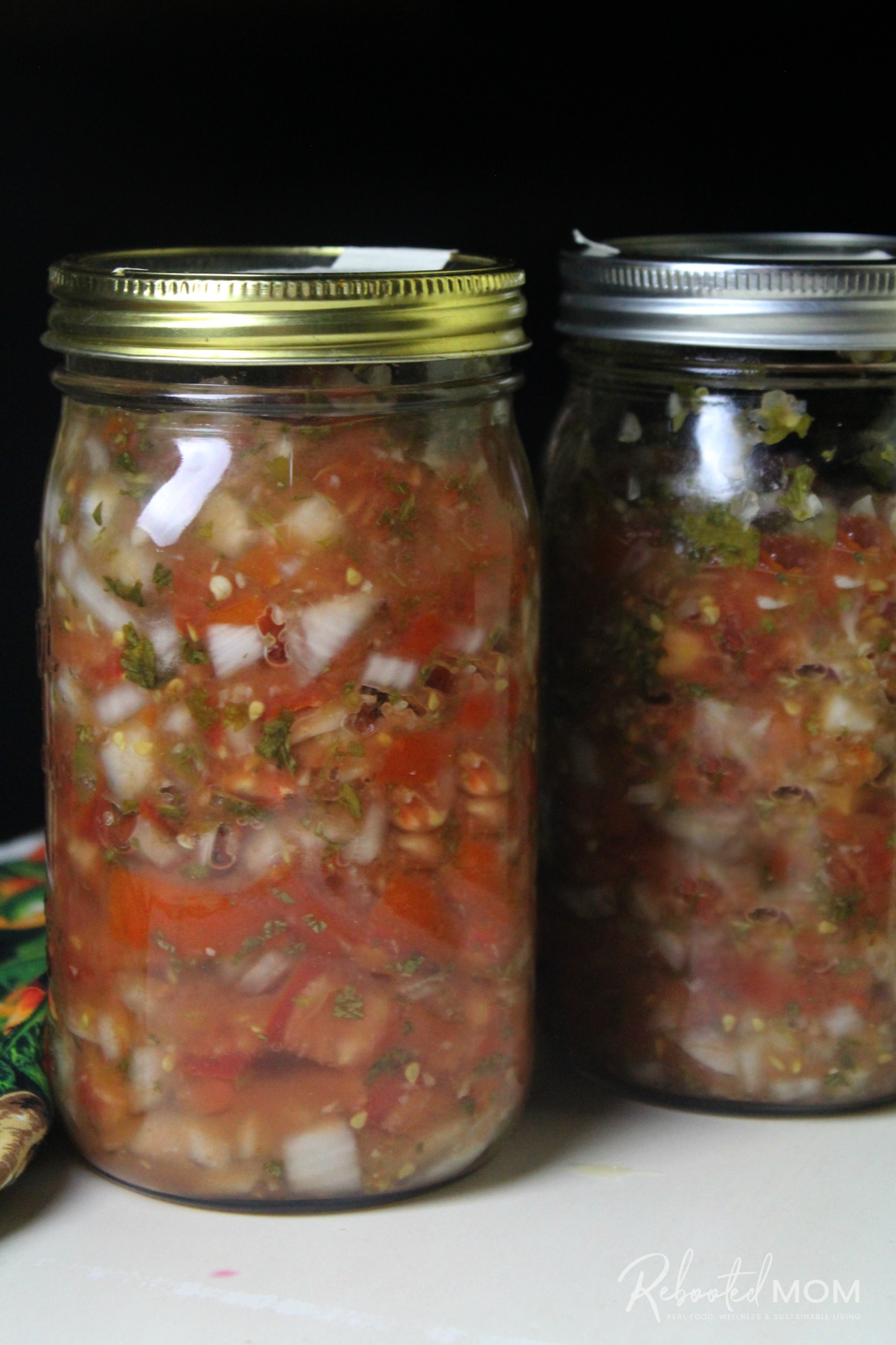 Step-by-step directions to help you learn how to dehydrate salsa to prep your pantry or, to enjoy on your next hike out on the trail.  Dehydrated salsa makes great trail food!