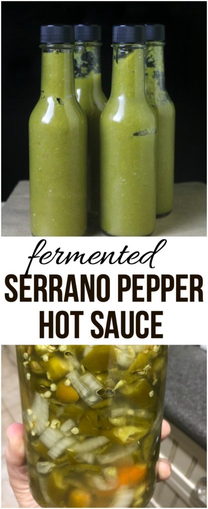 Fermented Serrano Pepper Hot Sauce