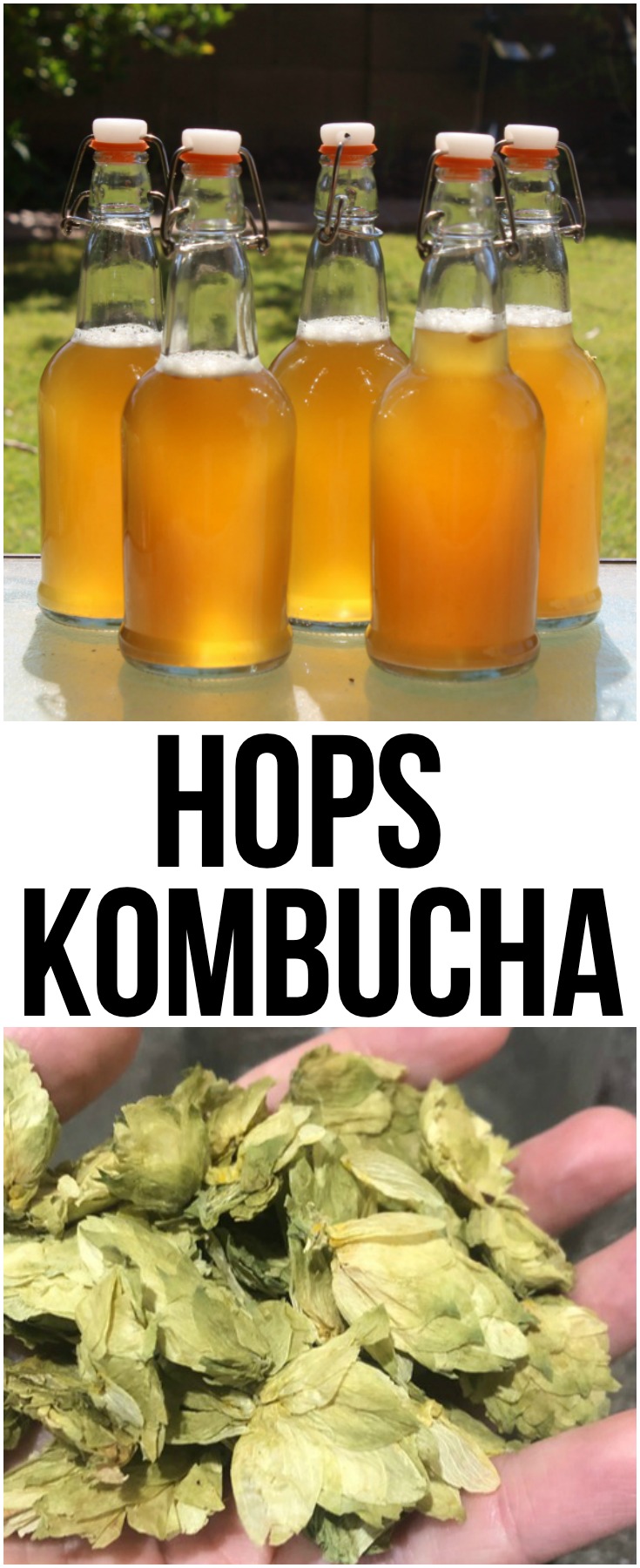 Delicious home brewed hops kombucha with a combination of aromatic pine, citrus, and floral notes full of gut-healthy probiotics.  #hops #kombucha #probiotic #gut #health #fermentation