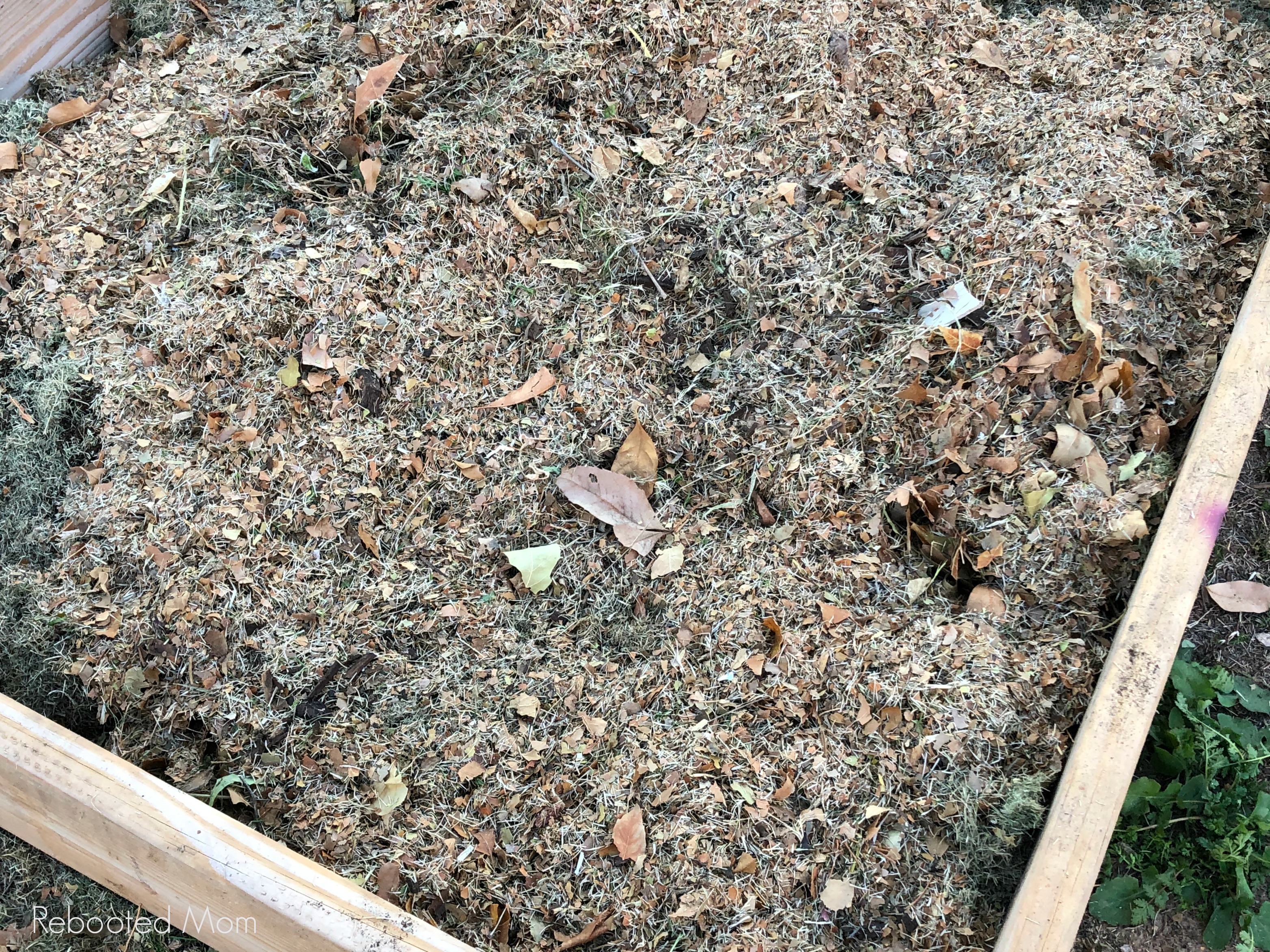 Leaves in a raised bed