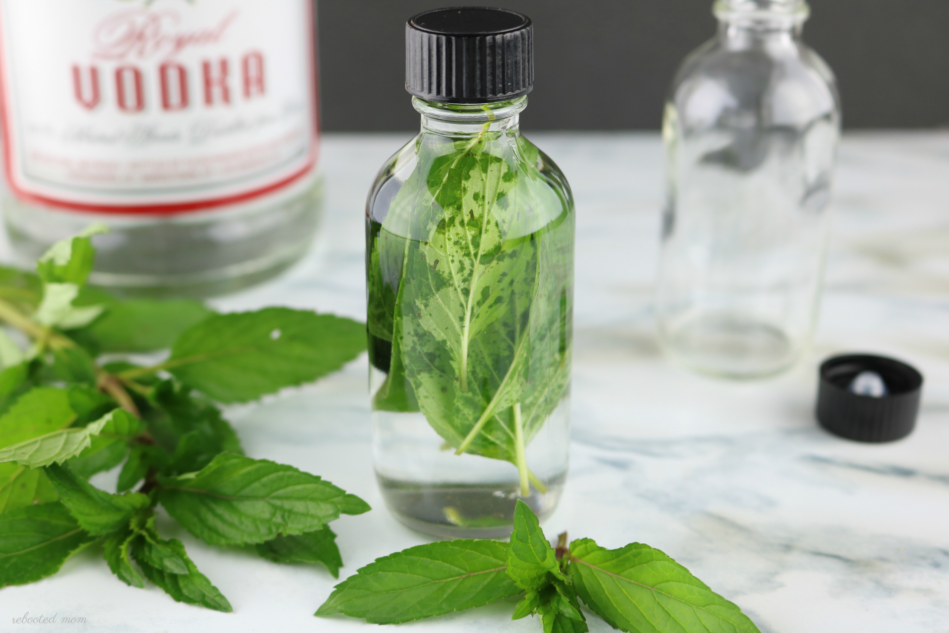 Homemade Mint Extract
