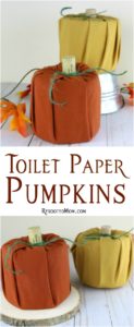 Toilet Paper Pumpkin DIY