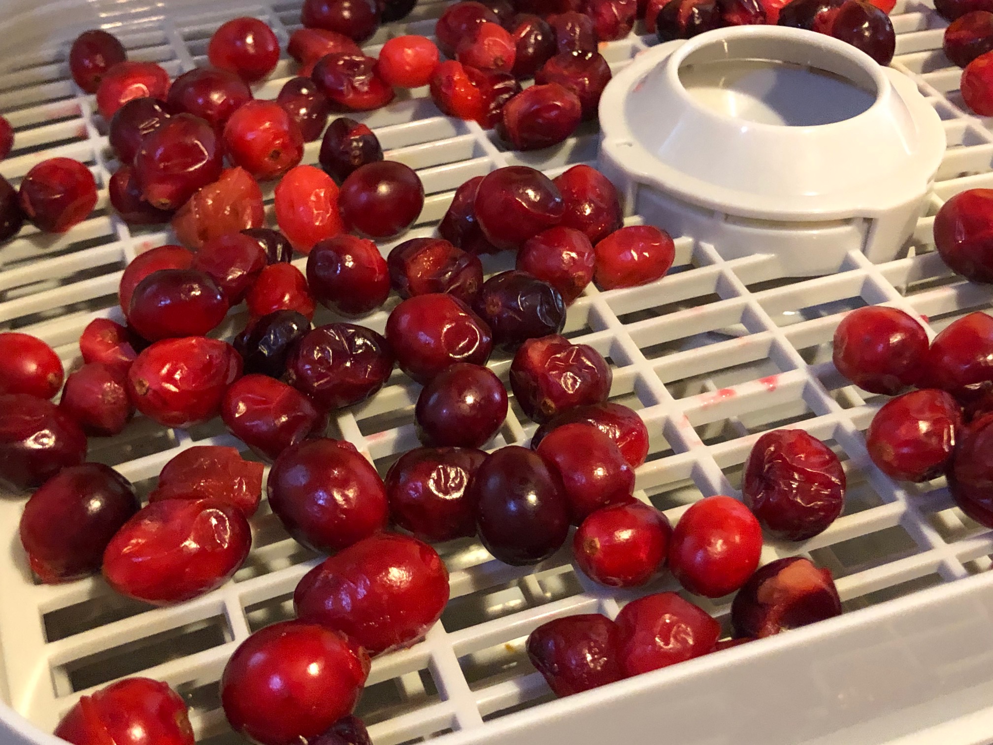 Dehydrated Cranberries