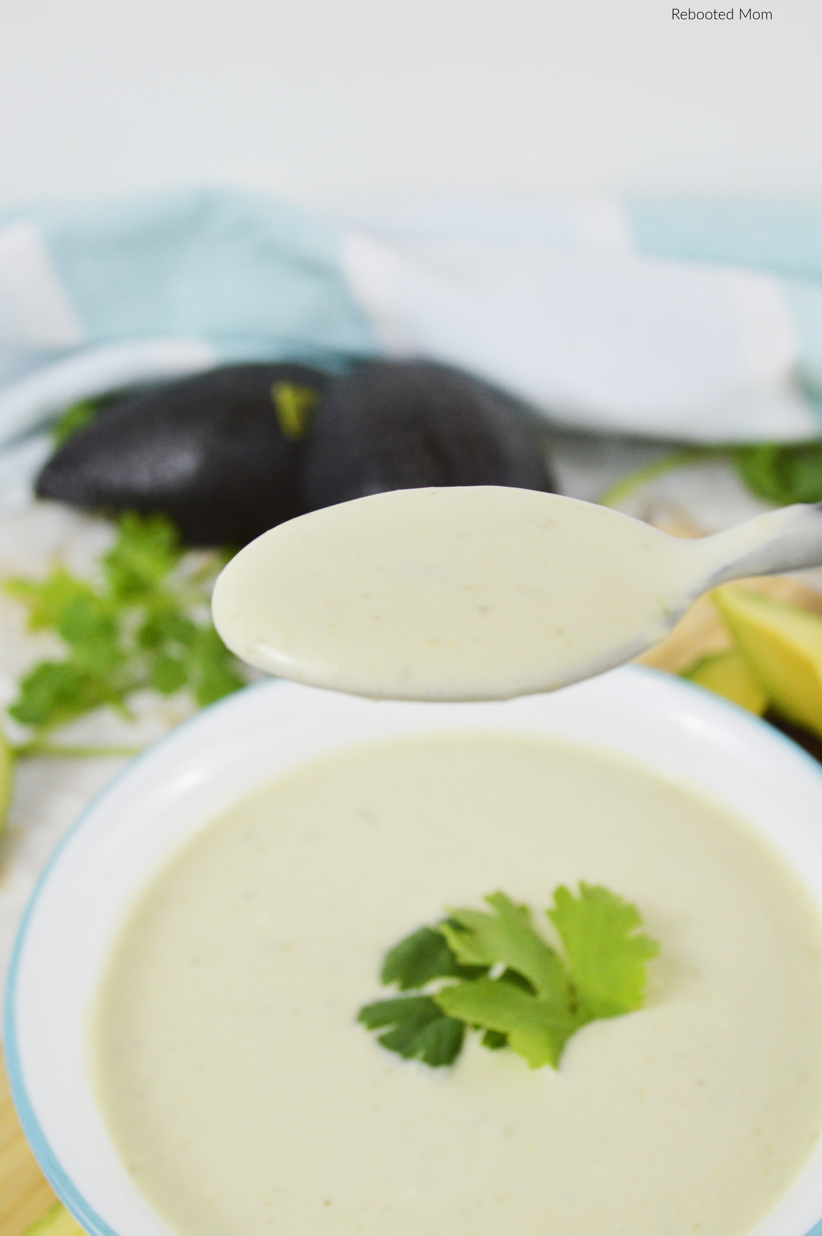 Chilled Avocado Soup