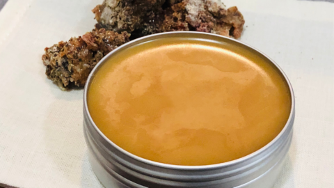 Pinon Pine Salve