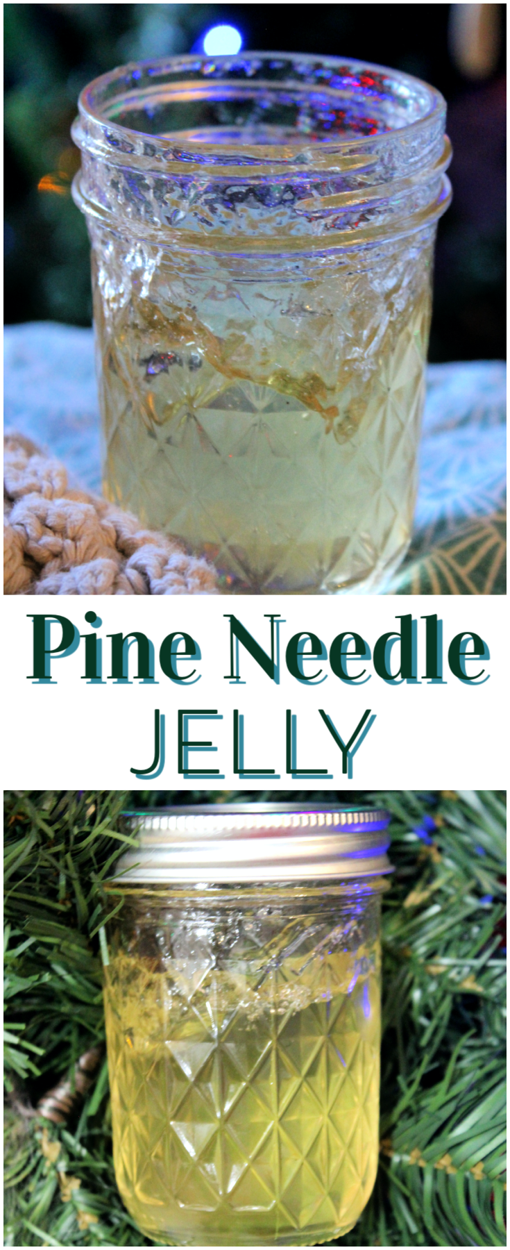 Pine Needle Jelly