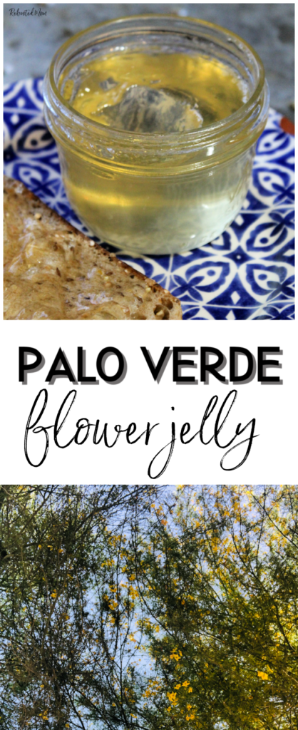 Palo Verde Flower Jelly