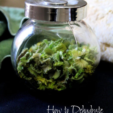 How to Dehydrate Celery