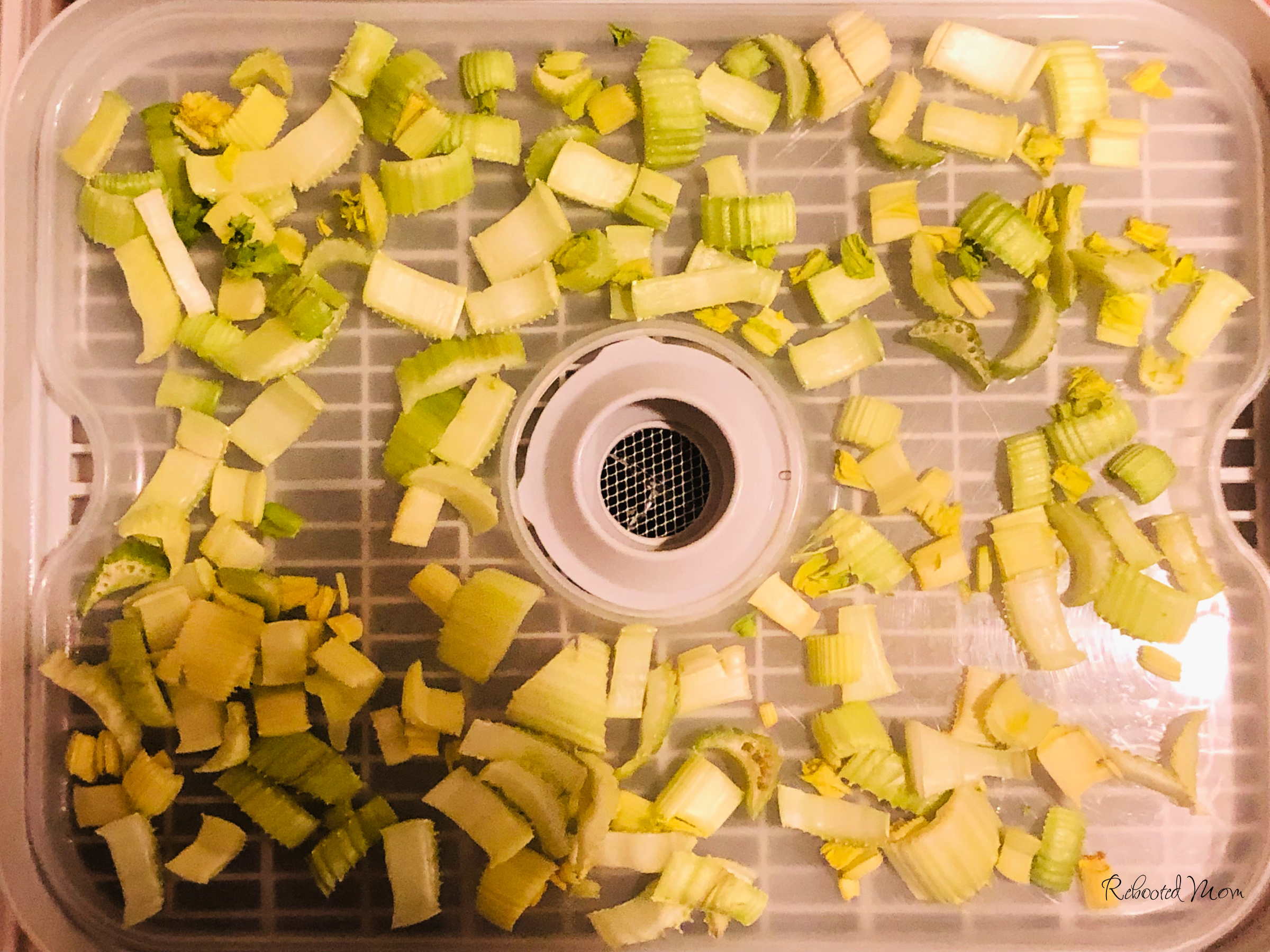 How to Dehydrate Celery