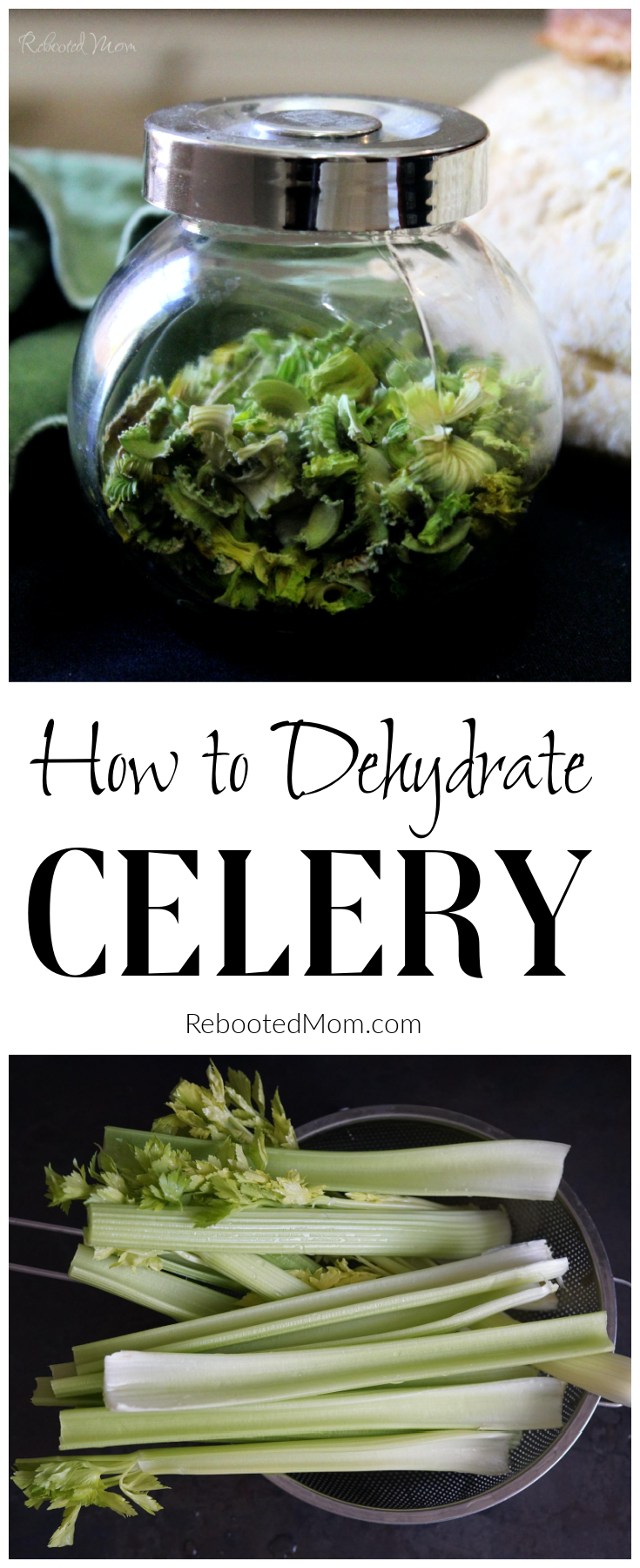 Dehydrate Celery