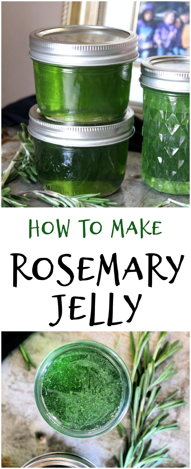 This savory Rosemary Jelly is a unique and delicious twist on traditional jelly recipes - serve with your next cheeseboard as an appetizer!