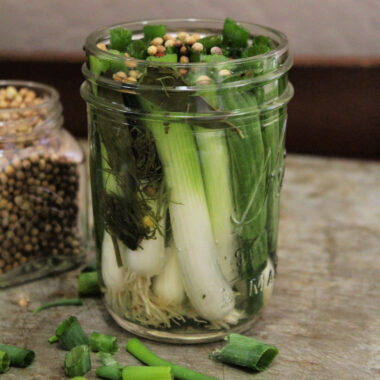 Pickled Scallions