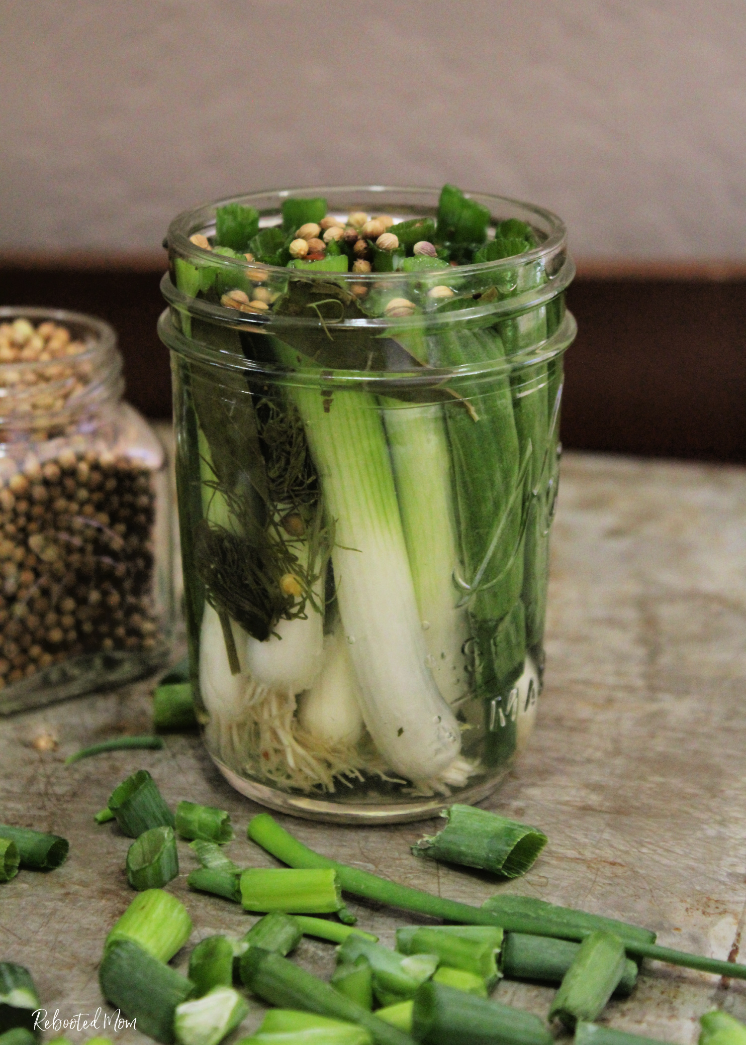 A quick and easy recipe for Quick Pickled Scallions - a sure fire way to transform a bunch of these green beauties into a snack that tastes amazing!
