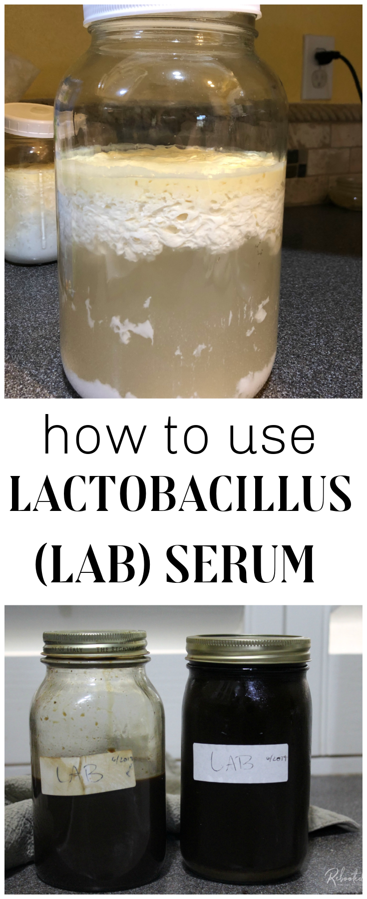 Lactobacillus is a genus of very beneficial bacteria that can be a tremendous asset to your home, garden, and even personal digestion. Learn all the ways lactobacillus serum can be used to enhance your home or garden.