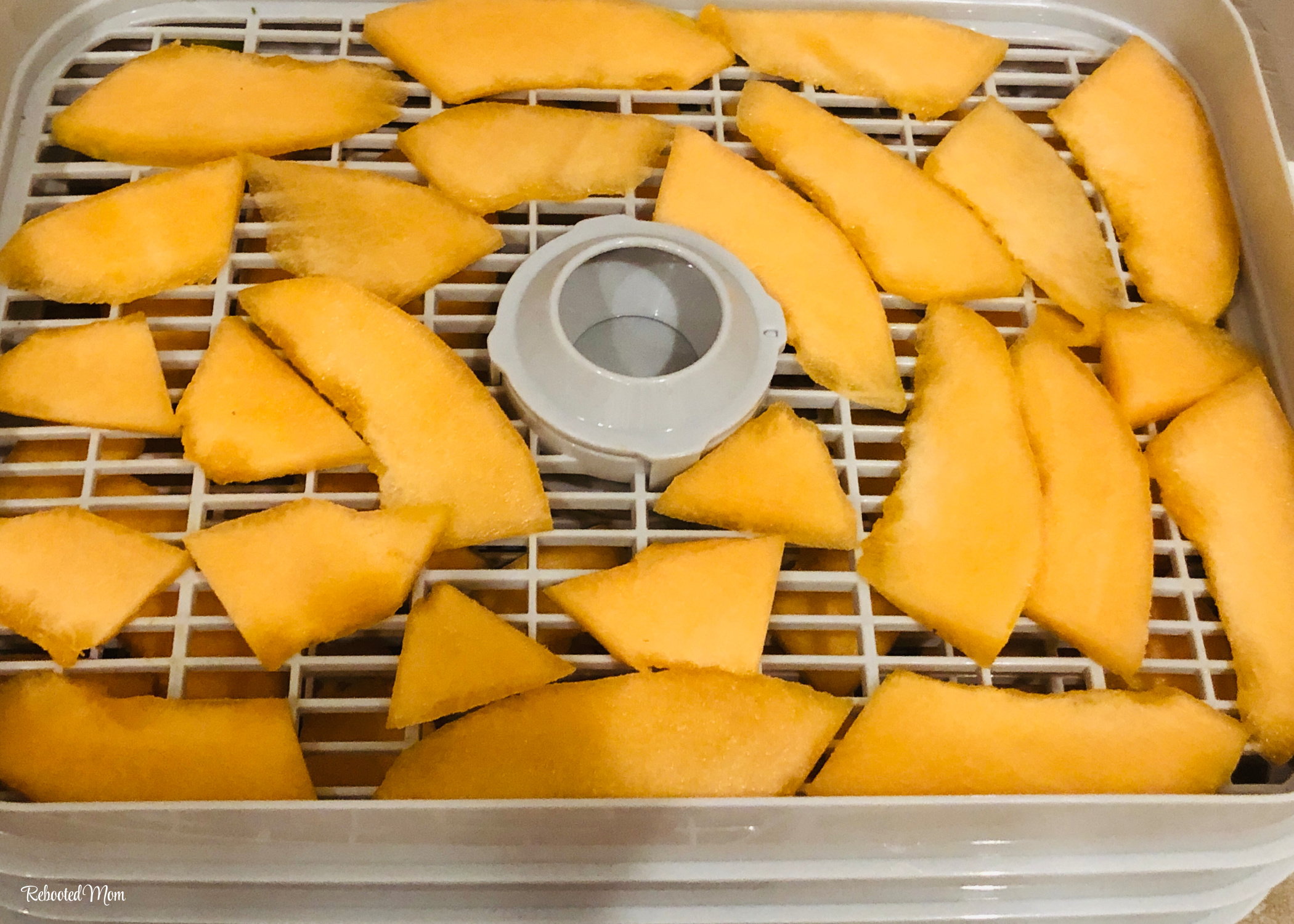Learn how to dehydrate cantaloupe with these step-by-step directions - the result is a delicious, healthy snack that serves as a great way to use a lot of cantaloupe!