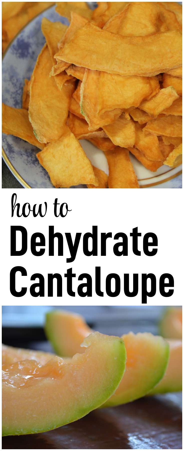Learn how to dehydrate cantaloupe with these step-by-step directions - the result is a delicious, healthy snack that serves as a great way to use a lot of cantaloupe!  #dehydrate #cantaloupe #chips #healthy #fruit