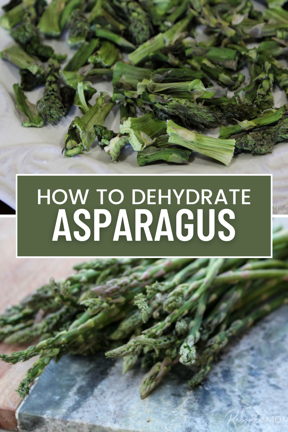 Dehydrate asparagus spears to preserve this beautiful green veggie all year long and transform it into a green powder or green salt to use in your recipes!  #asparagus #dehydrate #preserving #DIY