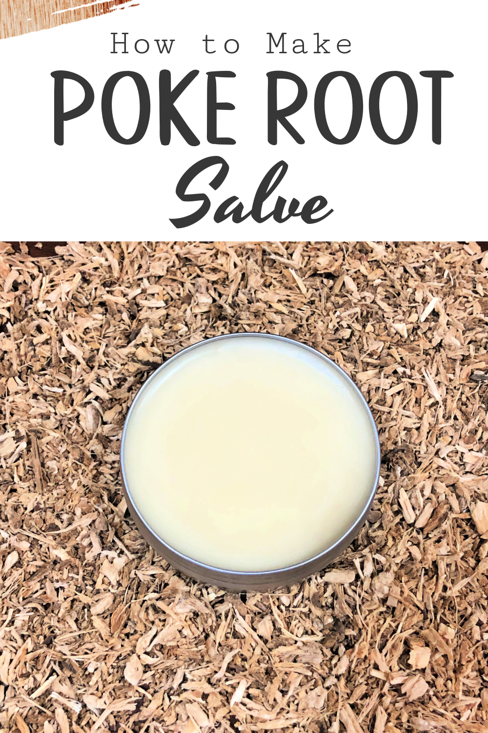 How to Make Poke Root Salve for supporting a healthy lymphatic system!