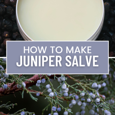 How to Make Juniper Salve