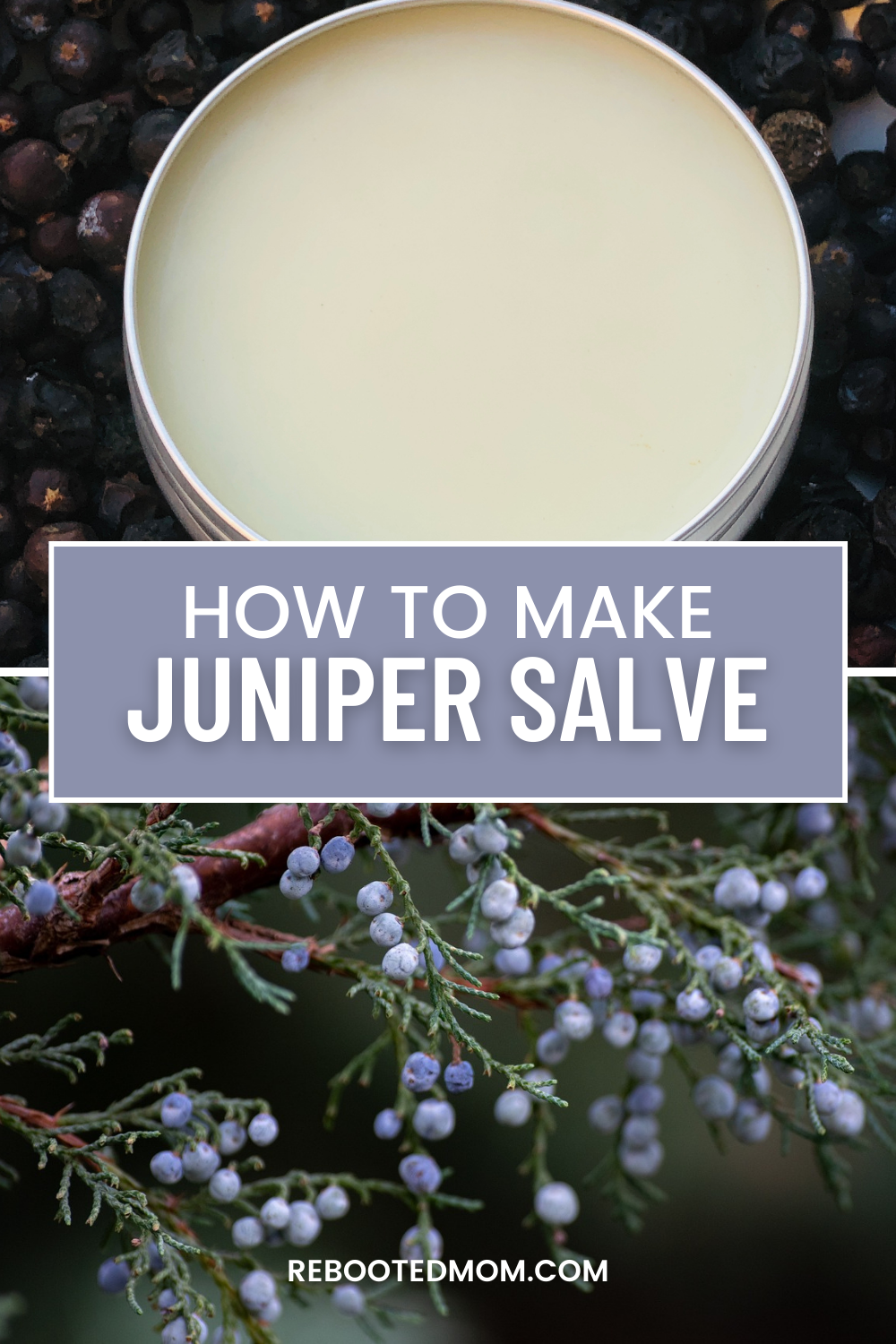 Juniper Salve is a delicately fragrant salve made with wild juniper berries and needles - it moisturizes skin while providing skin support in several areas.**