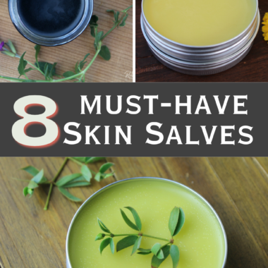 8 of the best must-have skincare salves to support healing and healthy skin in a variety of areas. Learn how to make them at home, today!