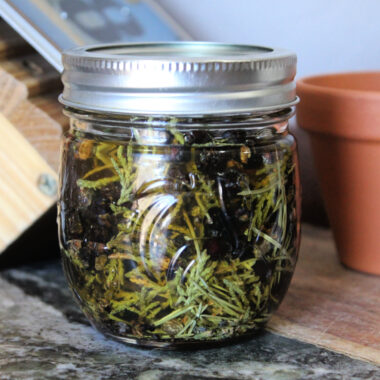 Learn how to make Juniper-Infused Honey - a wonderful addition to tea or bread with it's citrus spicy aroma and flavor.