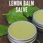 Lemon Balm is such a powerful herb - it's antiviral and serves to support healthy skin and help alleviate cold sores. Learn how to make Lemon Balm Salve in just a few easy steps!
