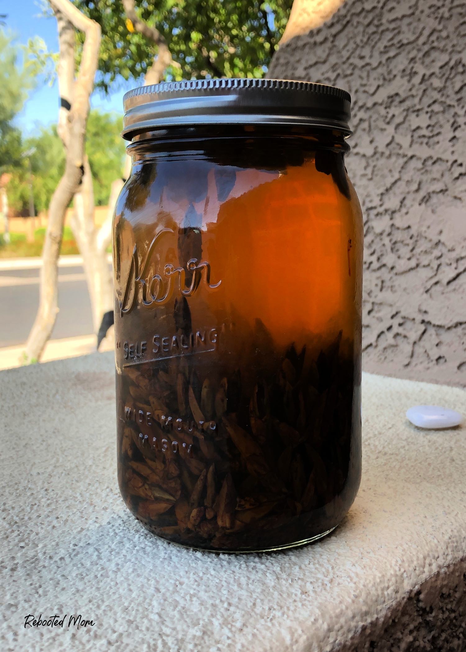Learn how to Make Balm of Gilead (also known as Cottonwood Oil) from the buds of the cottonwood tree. It's beautifully fragrant and an excellent form of skin support - anti-inflammatory, anti-microbial, and analgesic!