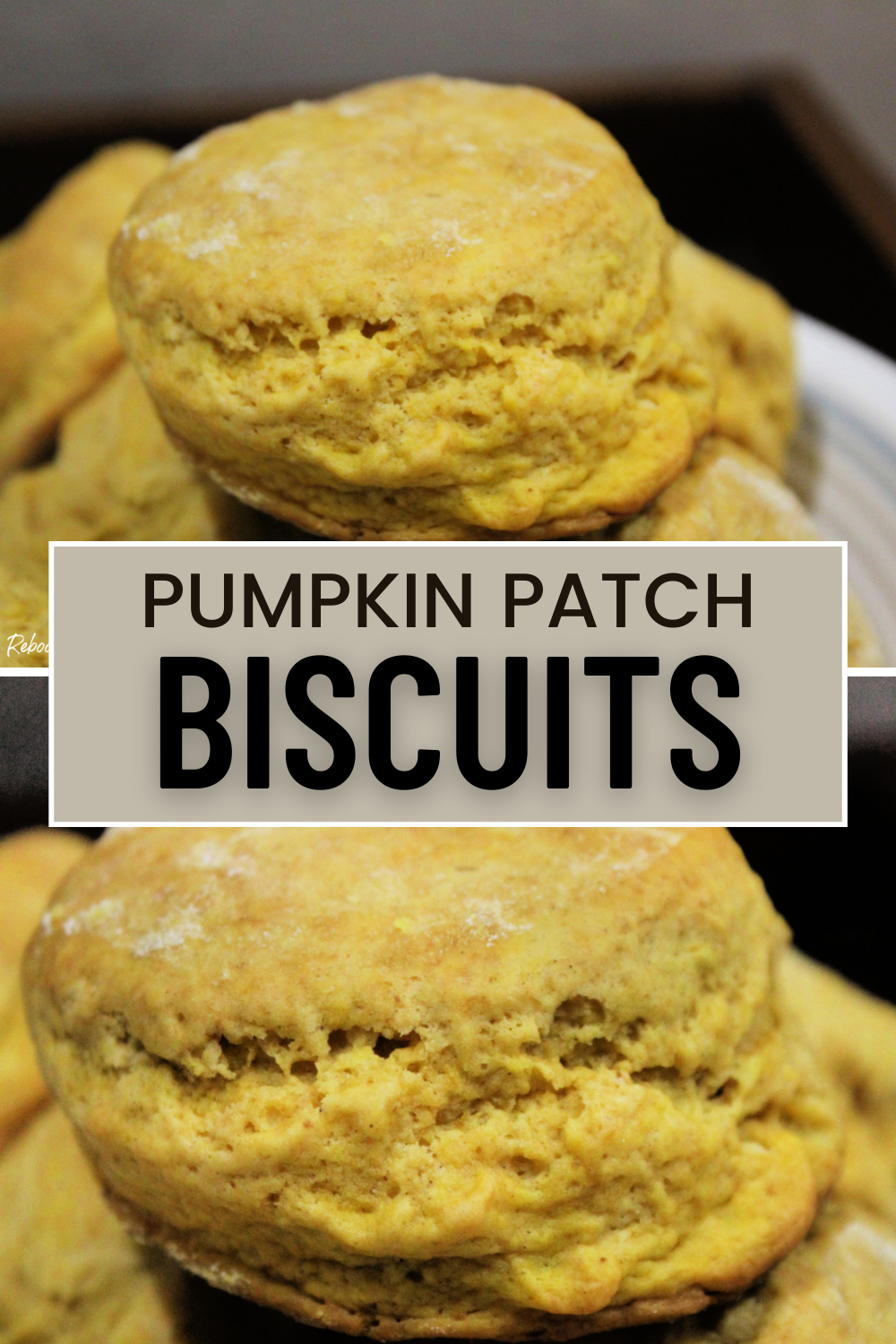 Pumpkin Patch Biscuits